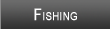 Dale Hollow Lake Fishing